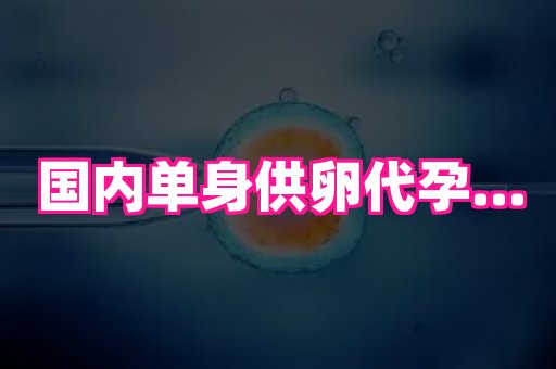69助孕网 3