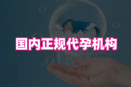 69助孕网 4